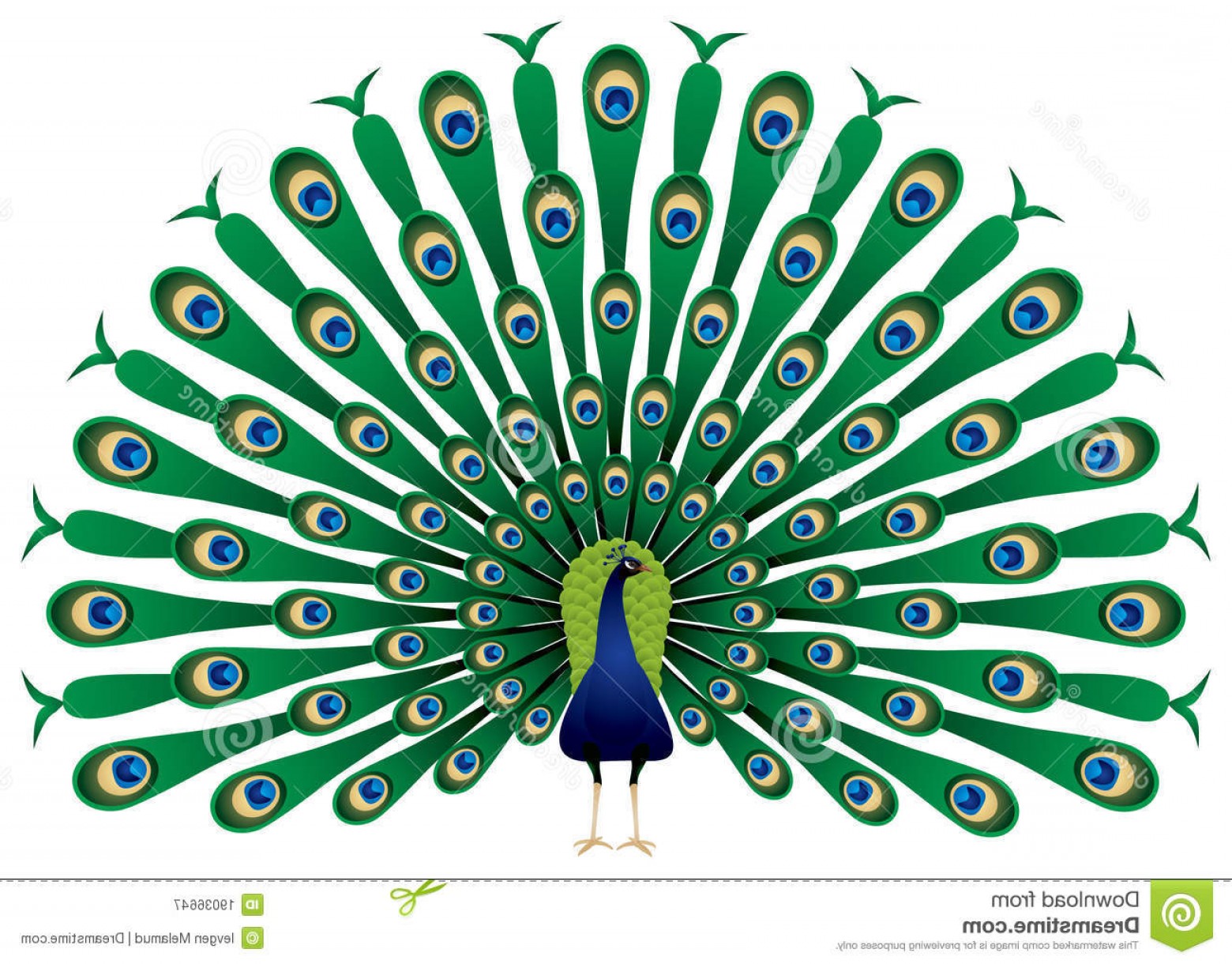 Peacock Feather Vector Free Graphics And Art Jobspapa Awesome.