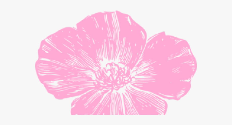 Poppy Clipart Pink Poppy.