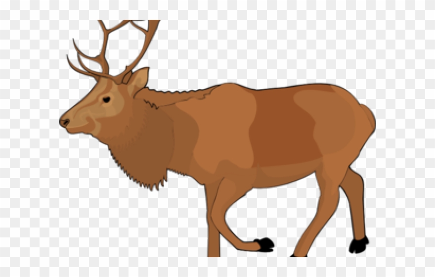 Free Clipart Reindeer.