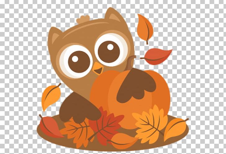 Owl Autumn Thanksgiving Scalable Graphics PNG, Clipart.