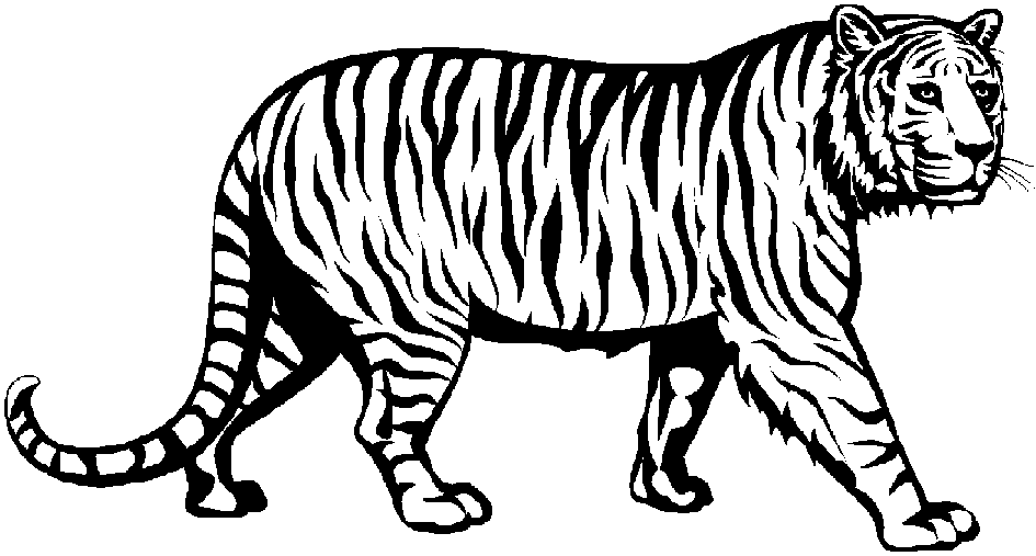 Clipart Of Tiger Black And White.