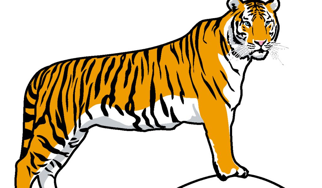 Characterstics Of Bengal Tiger Tigers Lead Solitary, Tiger New.