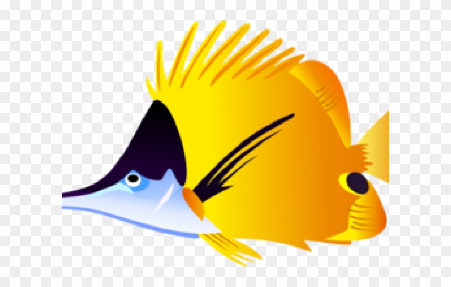 Tropical Fish Clipart Beta.