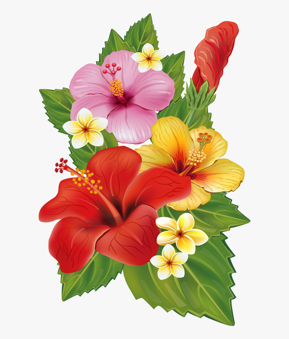 Png Hawaiian Flowers.