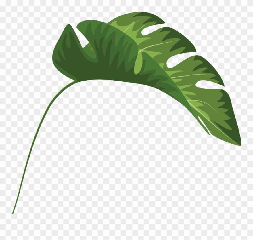 Tropical Leaves Palm Banana Monstera Mugs Clipart (#1944193.