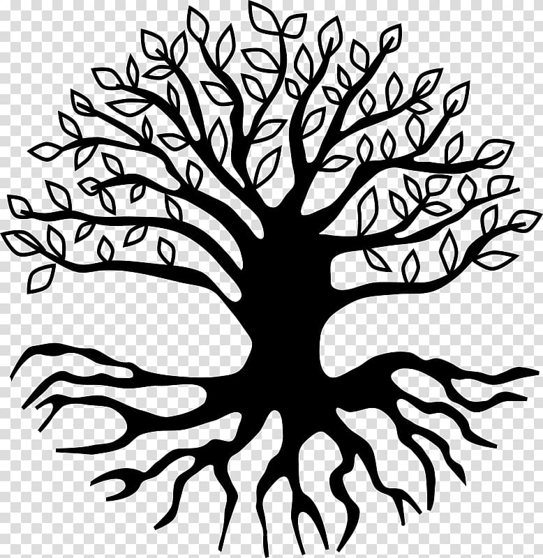 Black tree of life , Root Tree , tree roots transparent.