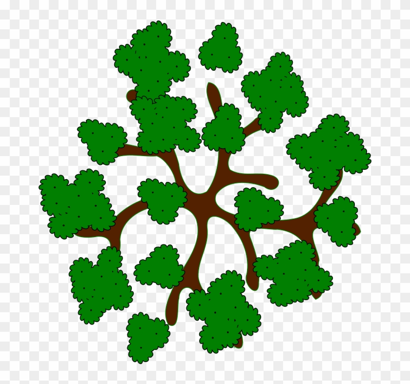 28 Collection Of Trees Clipart Top View.