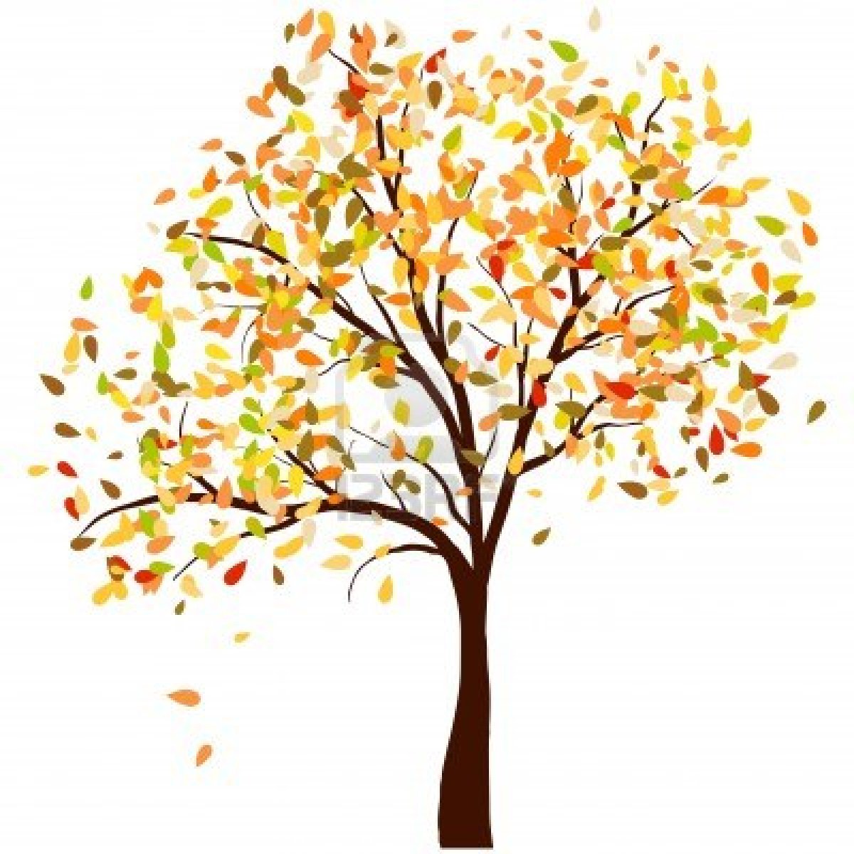 autumn trees and leaves clipart autumn trees background.