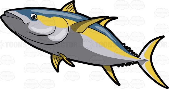 Tuna Fish Clipart at GetDrawings.com.