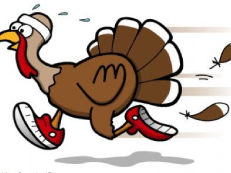 Turkey Cartoon clipart.