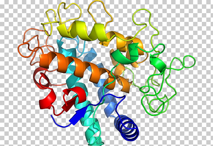 Protein structure Antimicrobial peptides, science PNG.