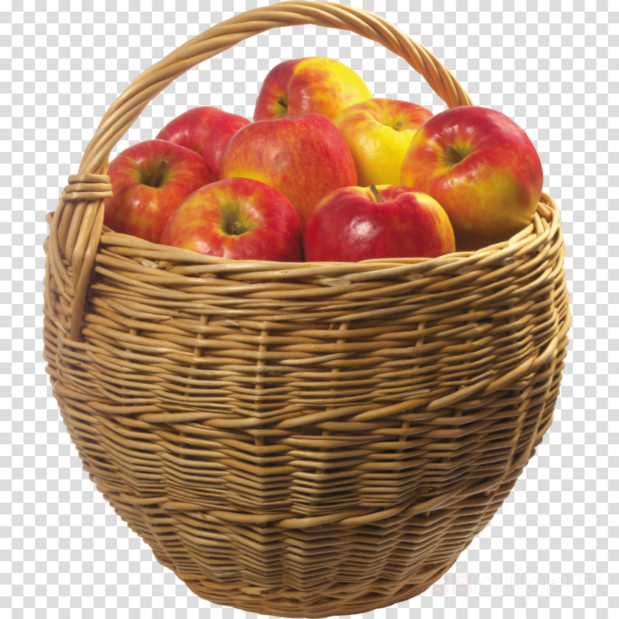 Apples Cartoon clipart.