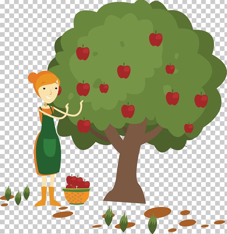 Apple Fruit Picking PNG, Clipart, Apple Fruit, Branch.