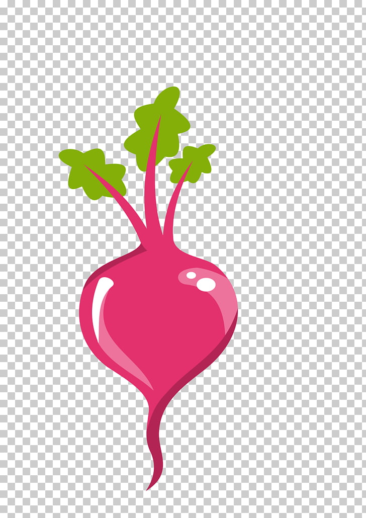 Sugar beet Beetroot , beet PNG clipart.