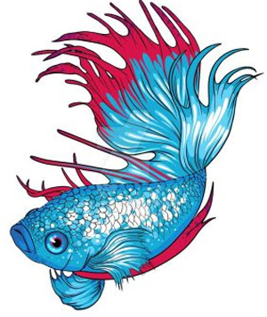 Betta Clipart at GetDrawings.com.