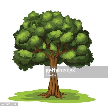 The Big Tree premium clipart.