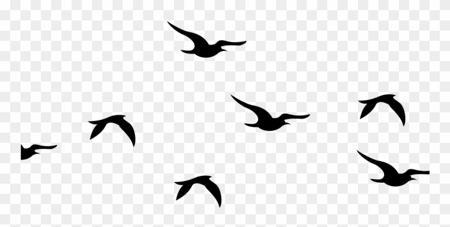 Flying Birds Silhouette Png Clipart (#4210104).