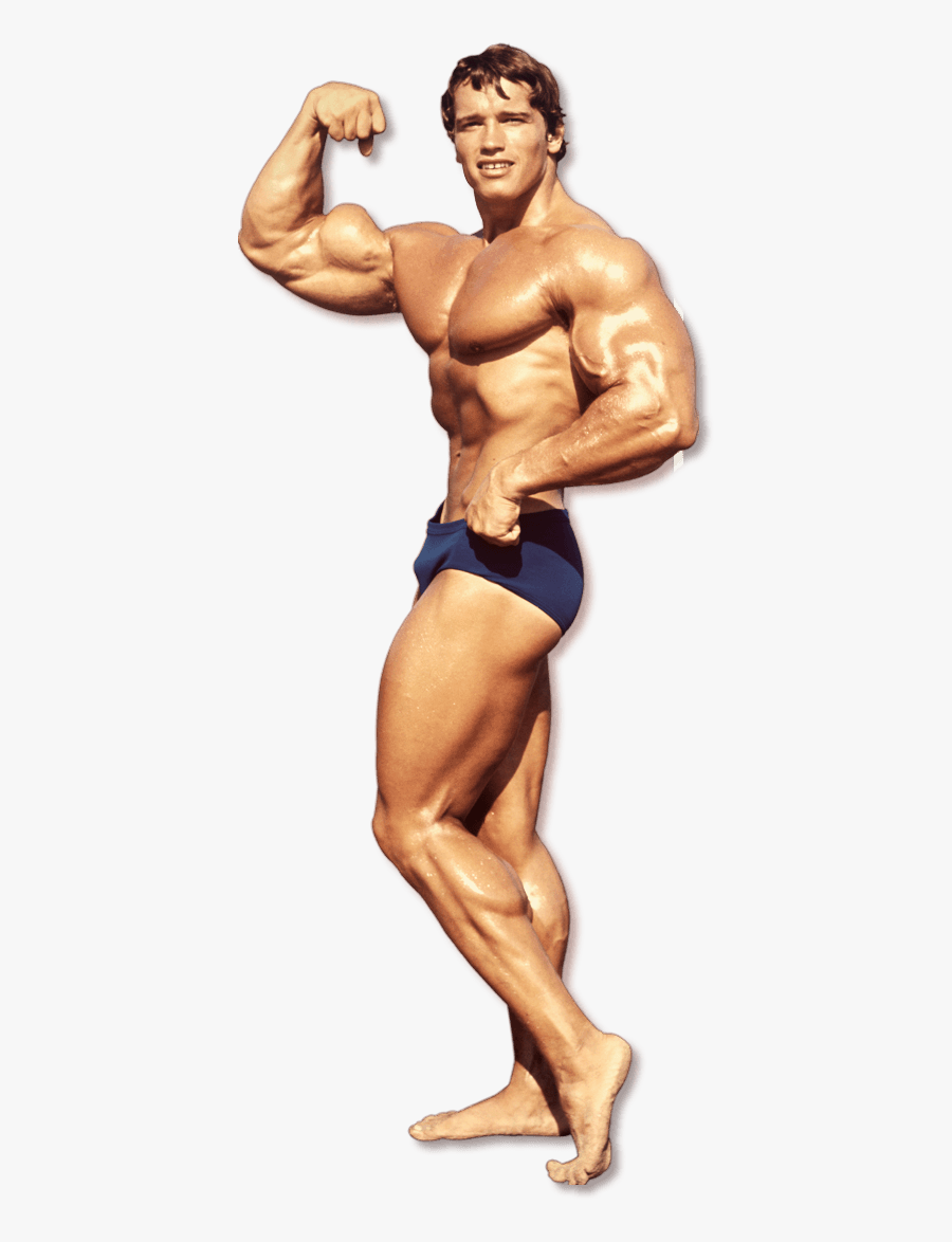 Transparent Bodybuilders Clipart.