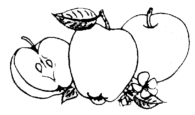 Free Apple Clipart Black And White, Download Free Clip Art.