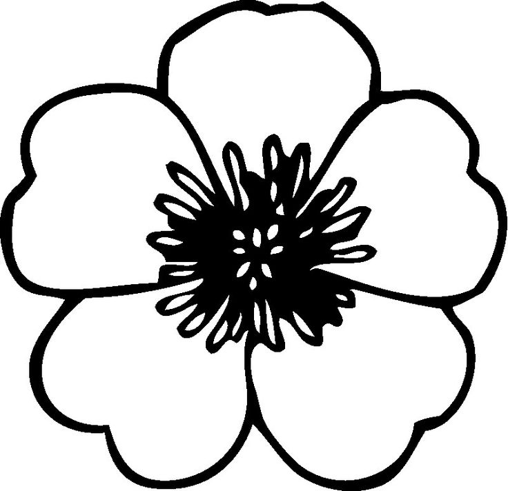 Clipart black and white flowers 4 » Clipart Station.