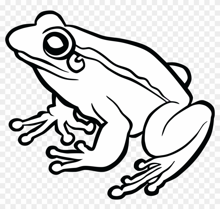 Jpg Freeuse Frog Black And White Clipart.