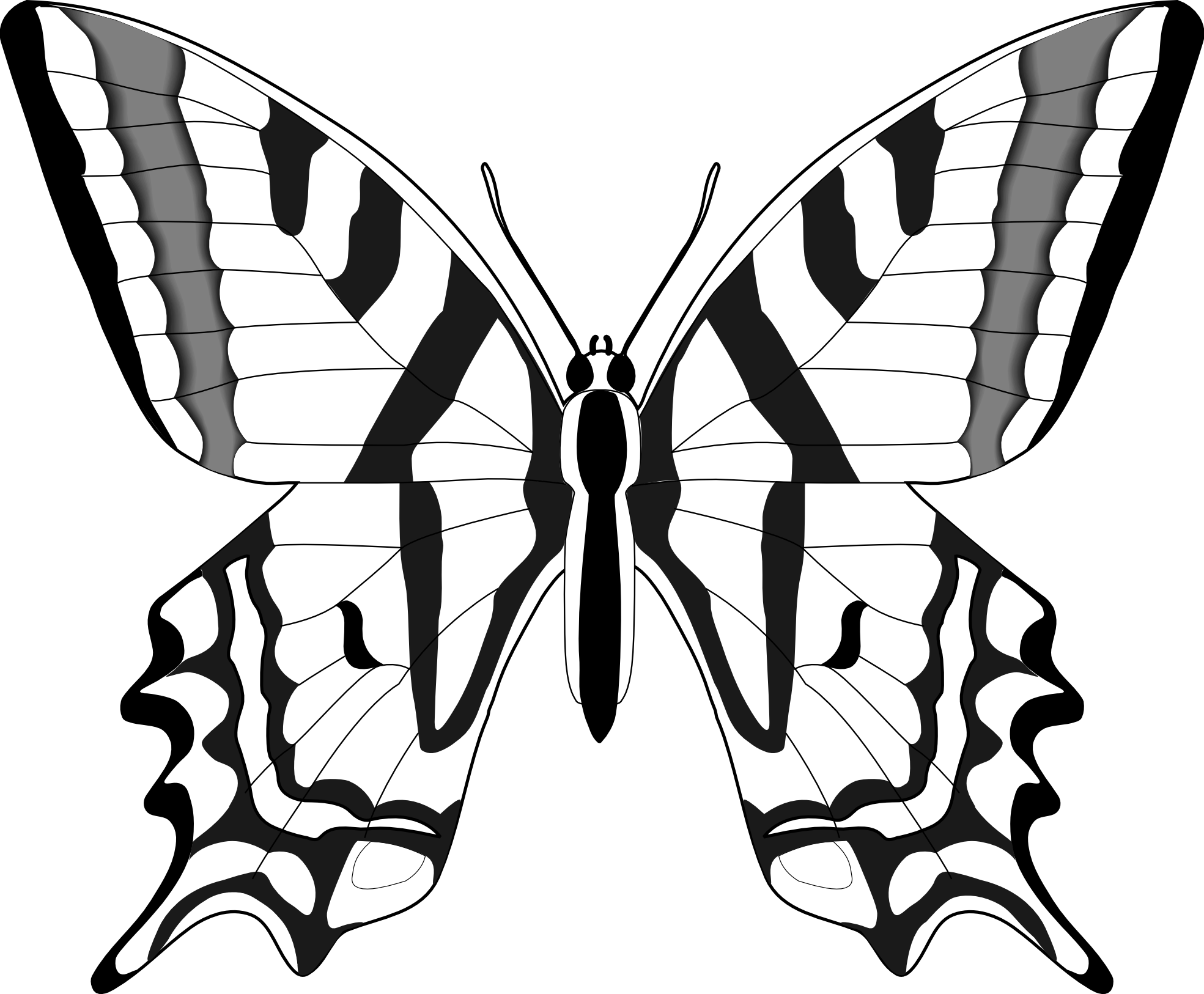 Free Butterfly Images Black And White, Download Free Clip.