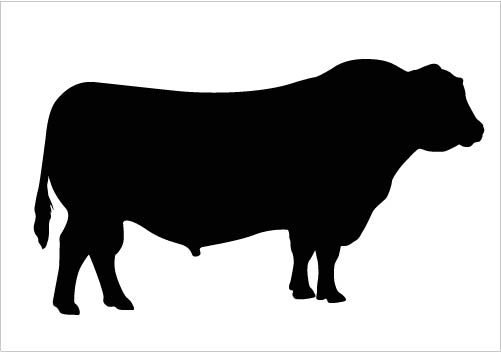 Bull Silhouette Vector Clipart Quality Download Silhouette.