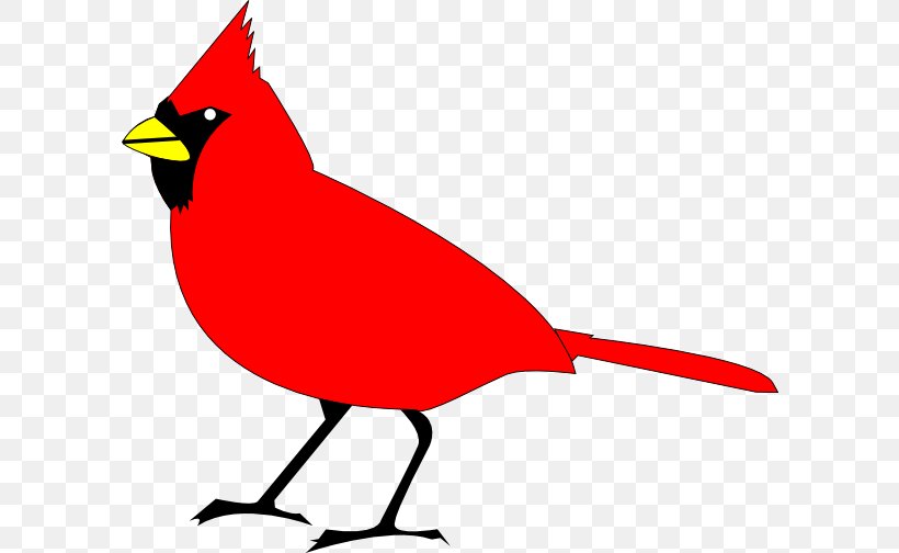 Northern Cardinal St. Louis Cardinals Clip Art, PNG.