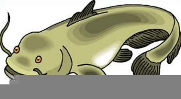 Clipart Catfish.