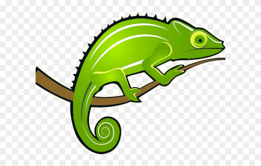 Monitor Lizard Clipart Colour.