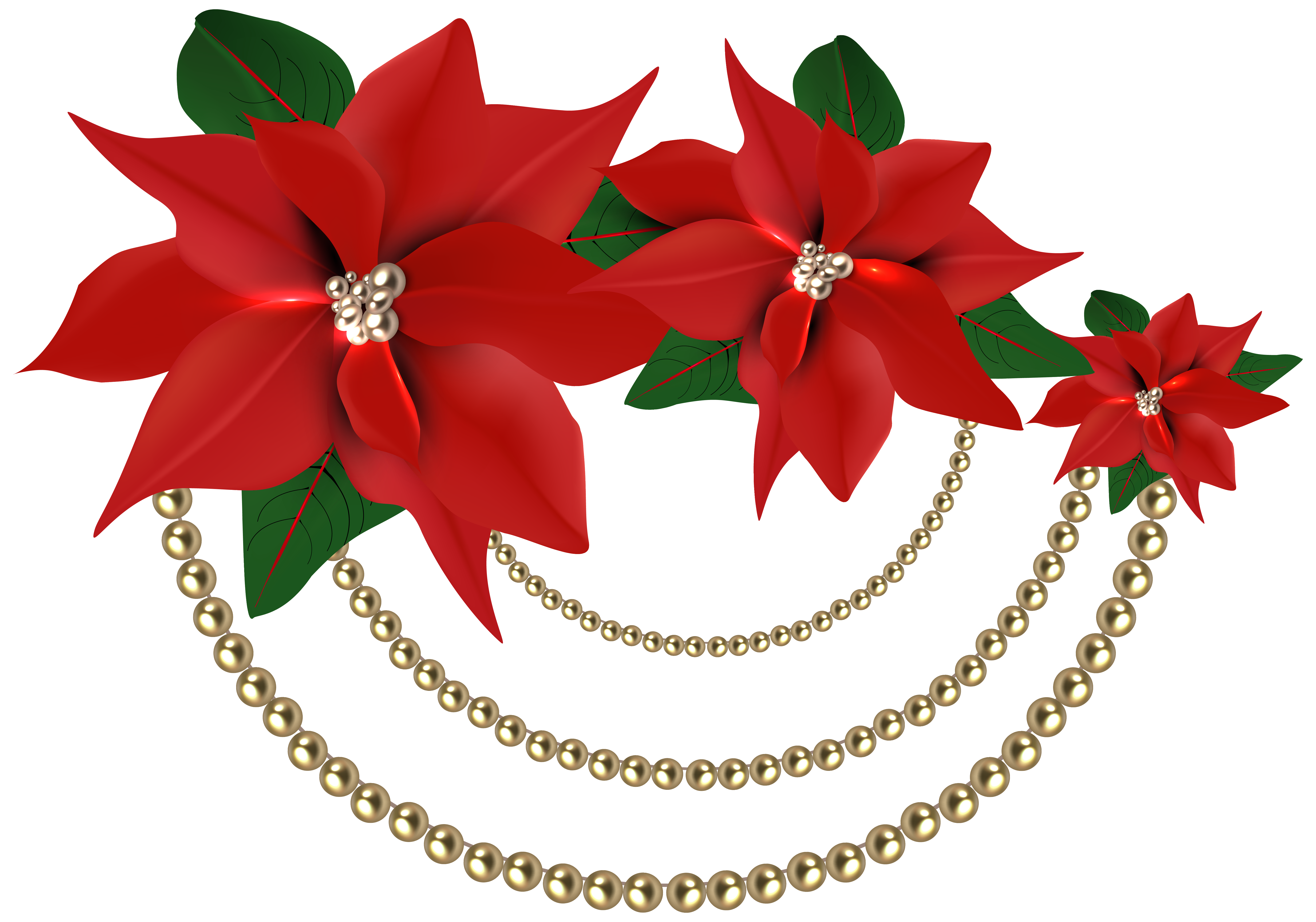 Decorative Christmas Poinsettias with Pearls PNG Clipart Image.