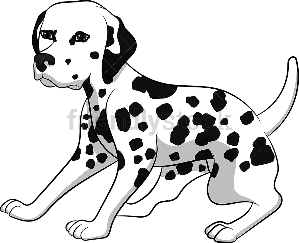 Alerted Dalmatian Dog.