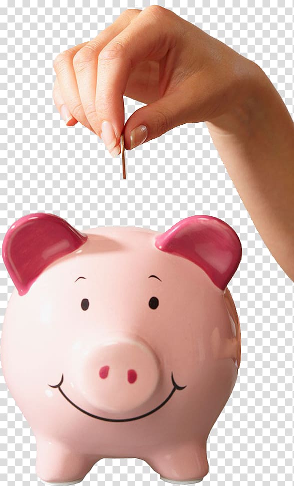 Person about to drop coin on pig coin bank, Piggy bank.