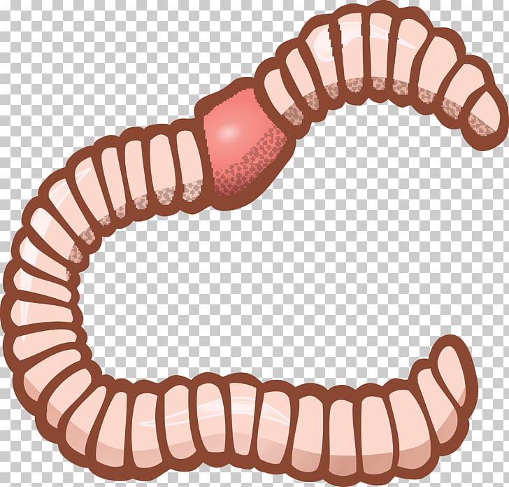 Earthworm , others PNG clipart.