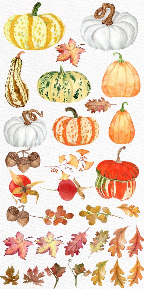 Watercolor pumpkin clipart: \