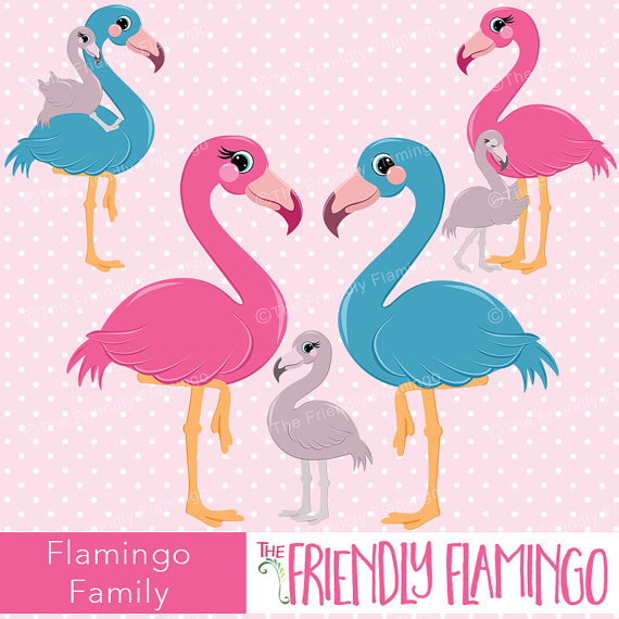 Flamingo family clipart, pink flamingo, invitation graphics.