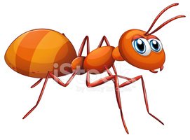 Formiga Grande Stock Vector.