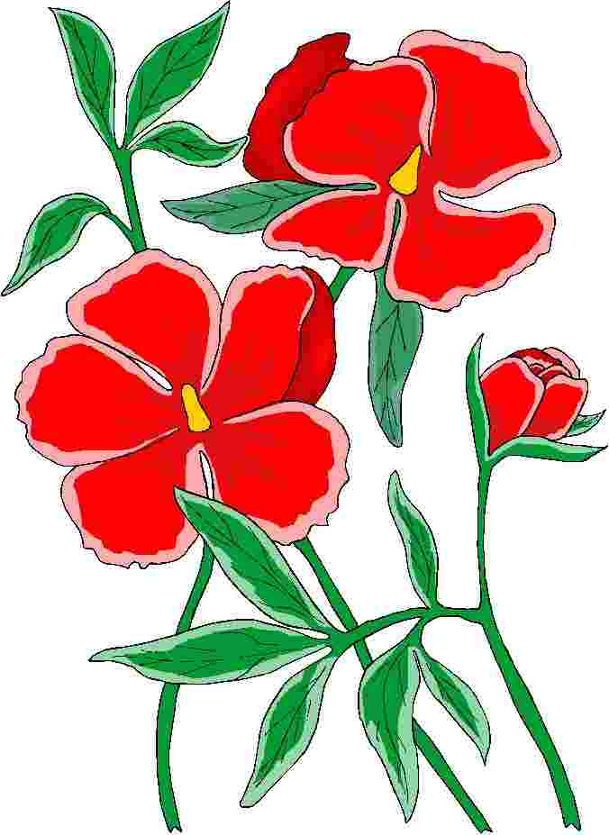 Best Cliparts: Schiffbruch Clipart Of Flowers Flores Rojas.