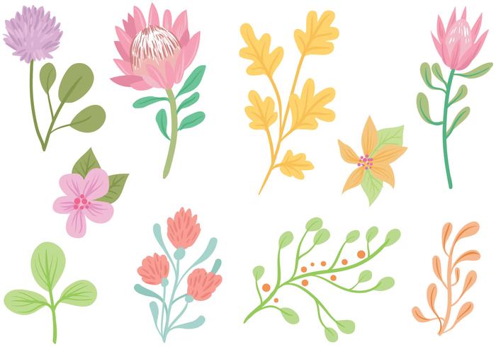 Free Pastel Flowers Vectors.