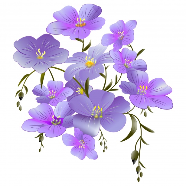 Flowers Clipart Purple Free Stock Photo.