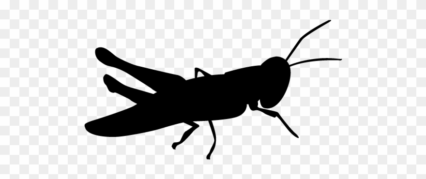 Grasshopper Vector Silhouette.