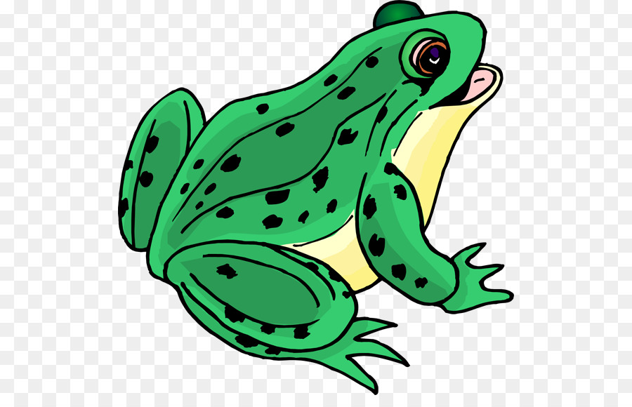 Frog Cartoon clipart.