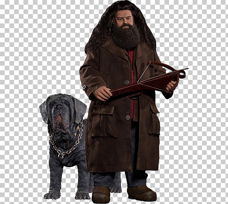 Robbie Coltrane Rubeus Hagrid Harry Potter and the.