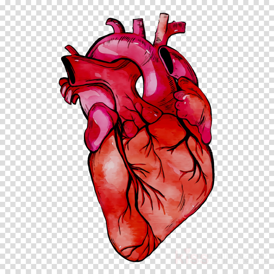 Human Heart Background clipart.