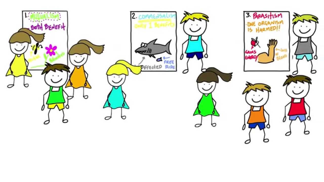 Gallery Walk Clipart.