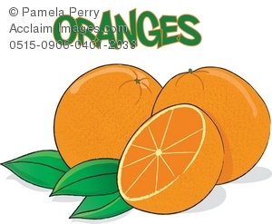 Clip Art Illustration of Oranges.