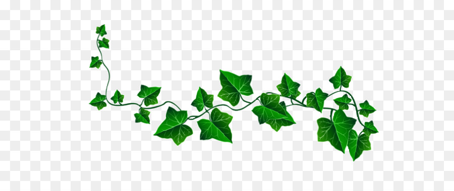 Ivy Leaf Vector at GetDrawings.com.