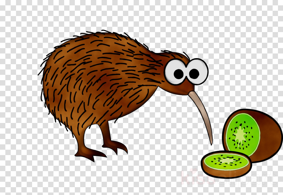 Kiwi Bird Clipart clipart.