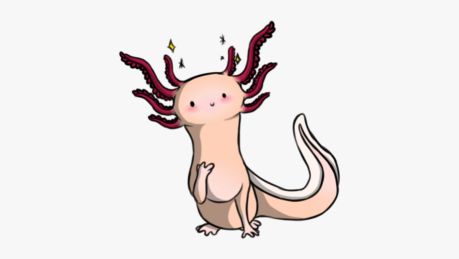 Axolotl Clipart Cute Cartoon.