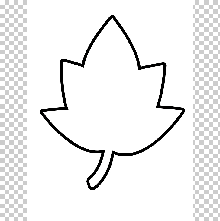 Autumn leaf color Outline Maple leaf , Leaf PNG clipart.